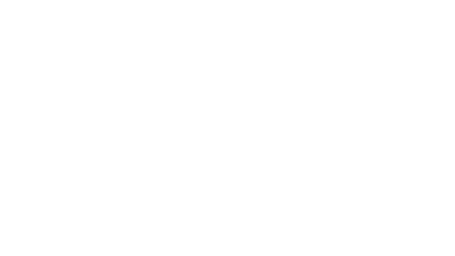 track-zandvoort.png